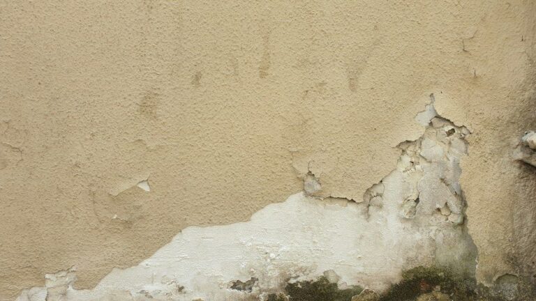 Feuchte Wand mit abplatzendem Putz